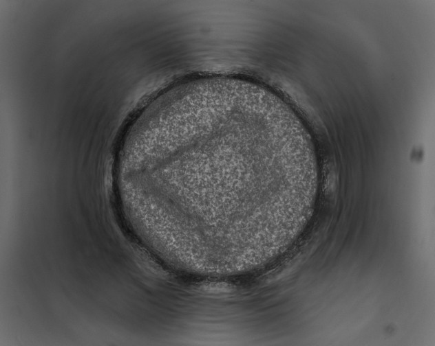 X0000102000685200808081700