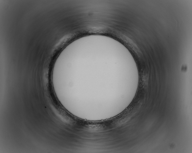 X0000102000686200808081700