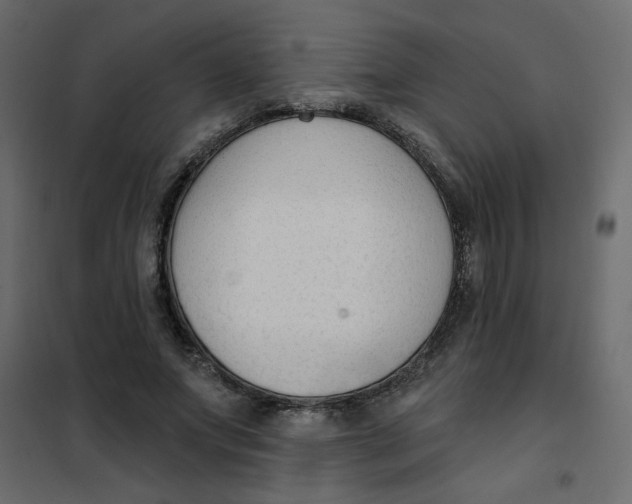 X0000102000687200808081700