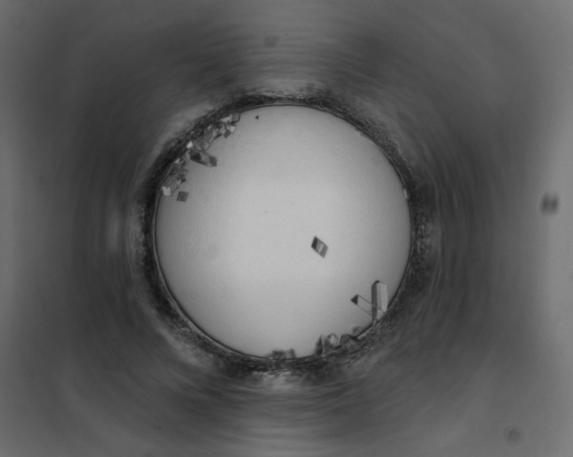 X0000102000688200808081700