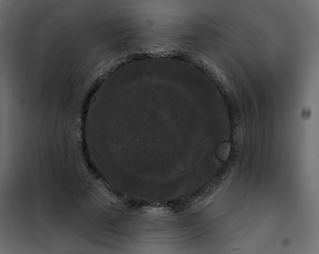 X0000102000689200808081700