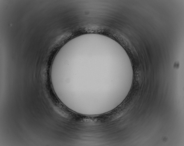 X0000102000690200808081700