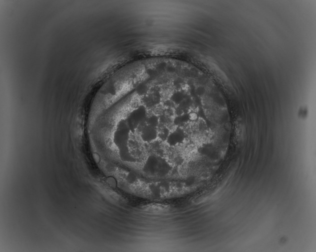 X0000102000691200808081700