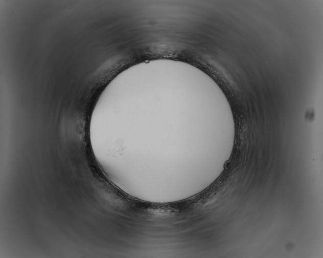 X0000102000693200808081700