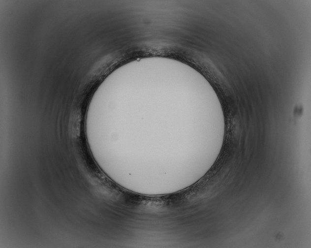 X0000102000694200808081700