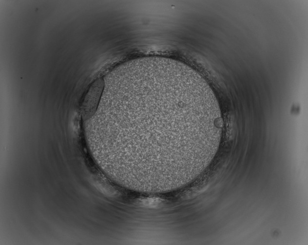 X0000102000695200808081700