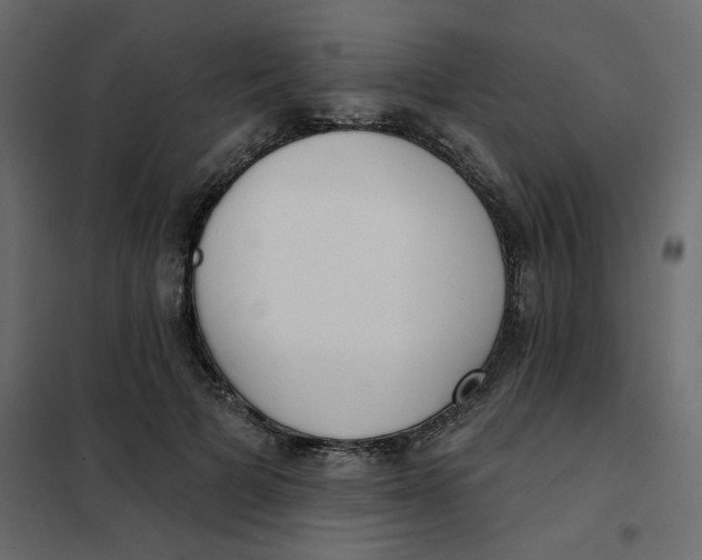 X0000102000697200808081700