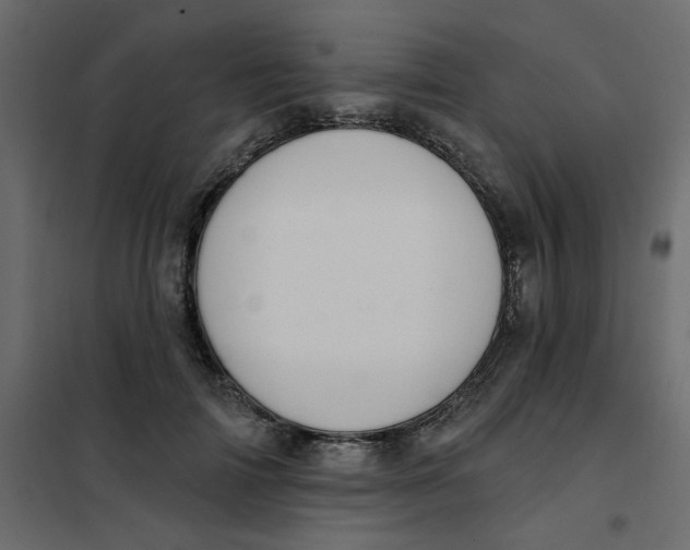 X0000102000698200808081700