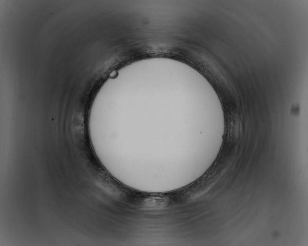 X0000102000700200808081700