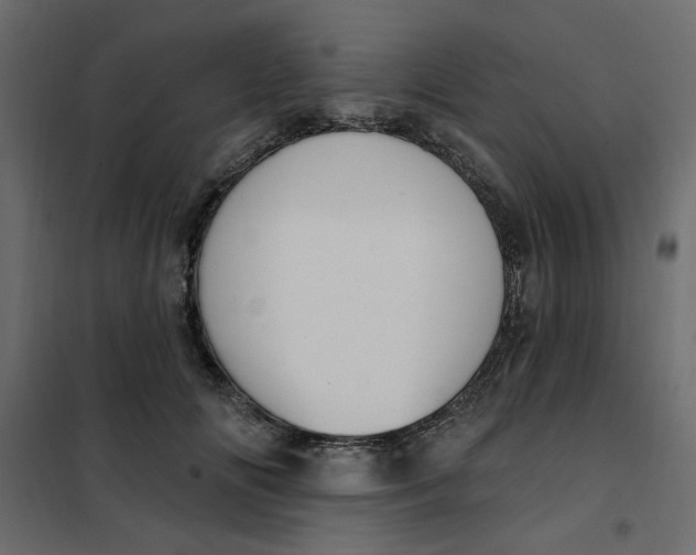 X0000102000702200808081700