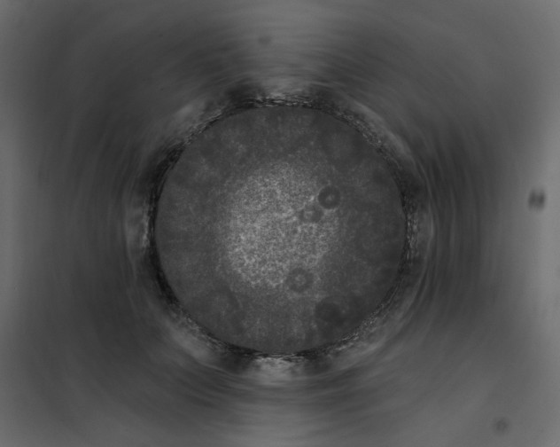 X0000102000703200808081700