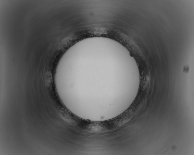 X0000102000704200808081700