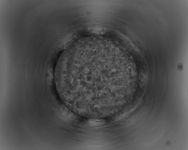 X0000102000707200808081700