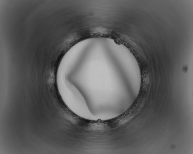 X0000102000708200808081700