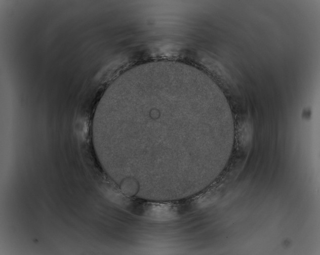 X0000102000709200808081700