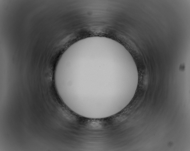 X0000102000710200808081700