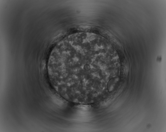 X0000102000711200808081700