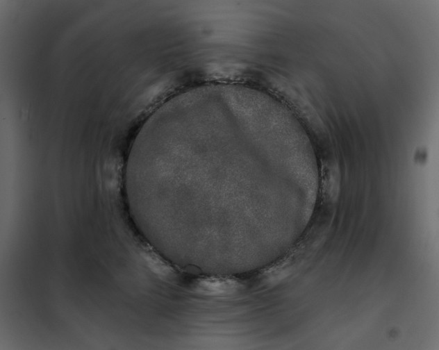 X0000102000712200808081700