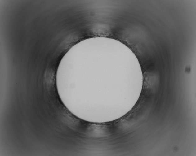 X0000102000713200808081700