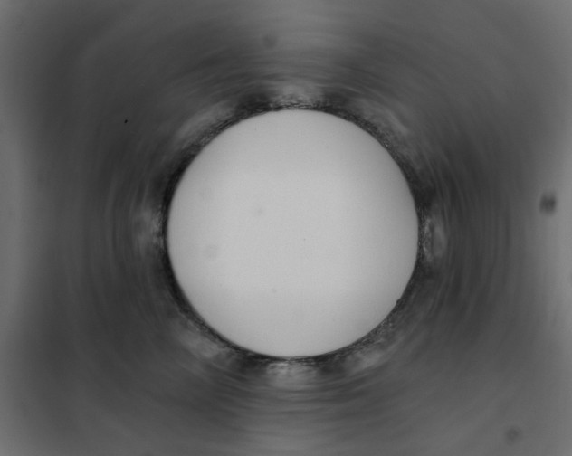 X0000102000714200808081700