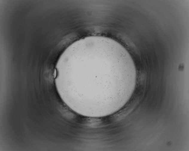 X0000102000719200808081700