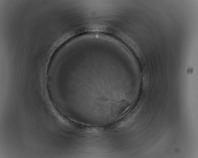 X0000102000721200808081659