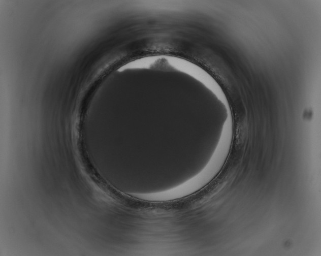 X0000102000722200808081659