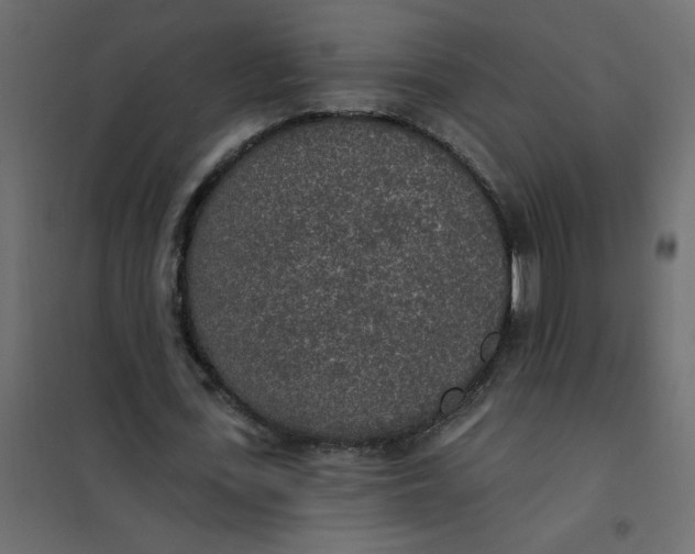 X0000102000723200808081659