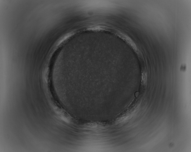 X0000102000724200808081659