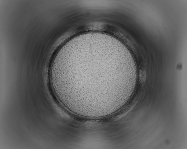 X0000102000725200808081659