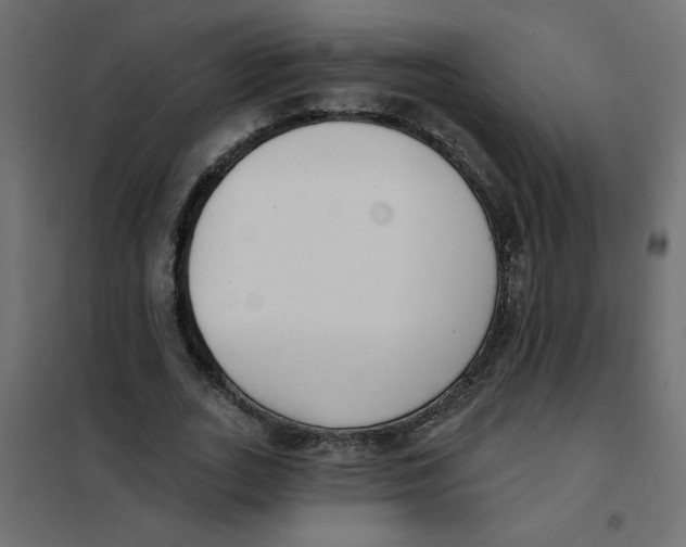 X0000102000727200808081659