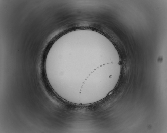 X0000102000728200808081659