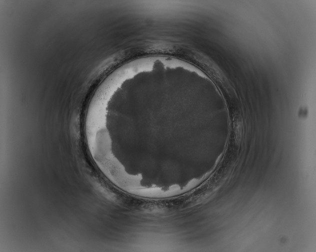 X0000102000729200808081659