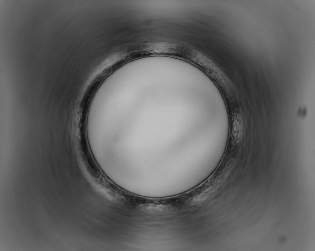 X0000102000730200808081659