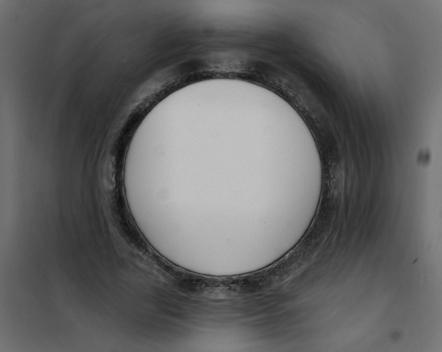 X0000102000731200808081659