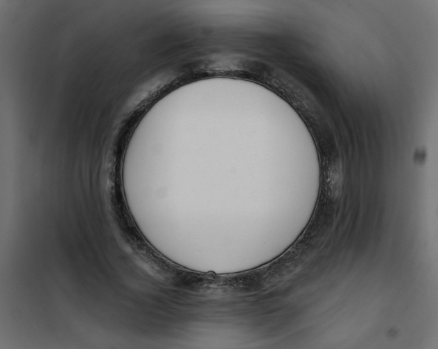 X0000102000732200808081659