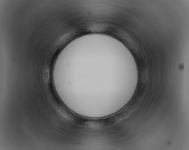 X0000102000733200808081659