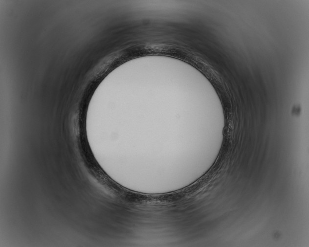 X0000102000734200808081659