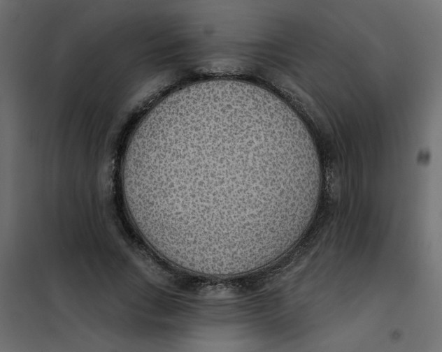 X0000102000735200808081659