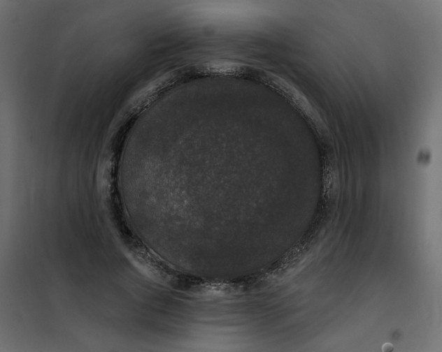 X0000102000736200808081659