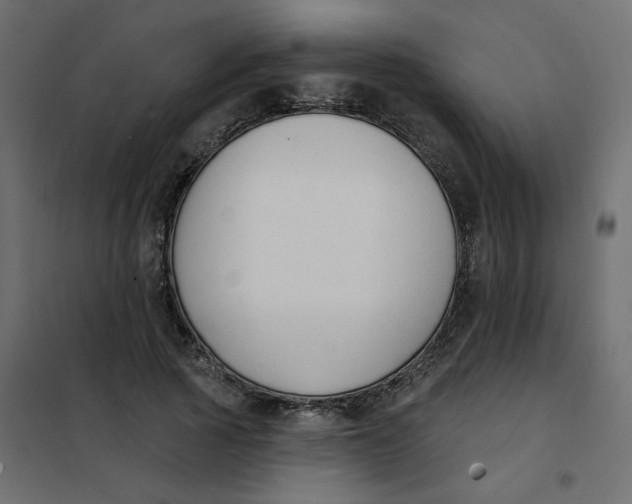 X0000102000737200808081659