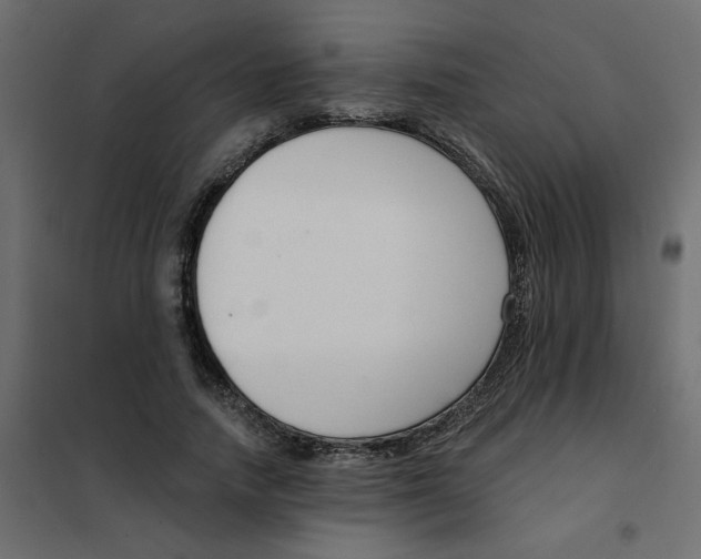 X0000102000738200808081659