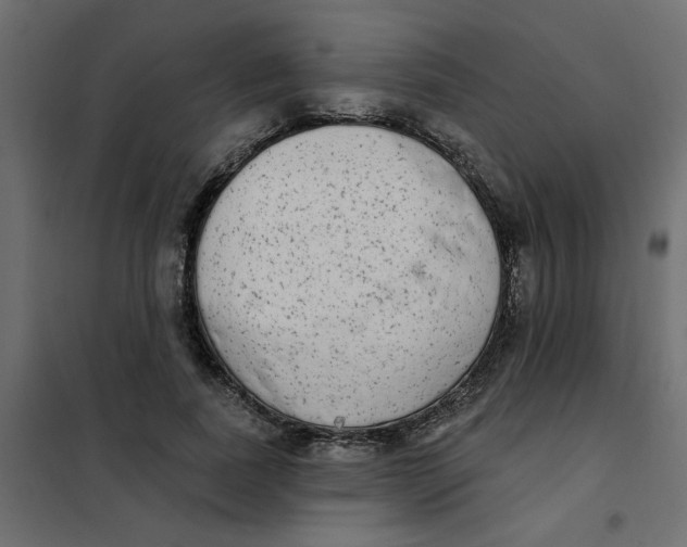 X0000102000739200808081659