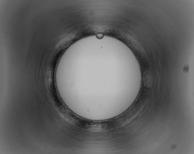 X0000102000740200808081659