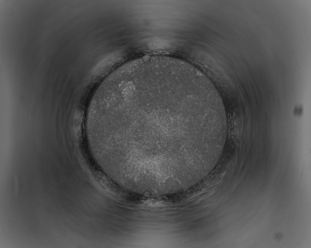 X0000102000742200808081700