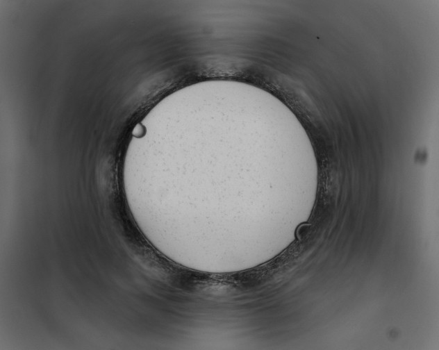 X0000102000743200808081700