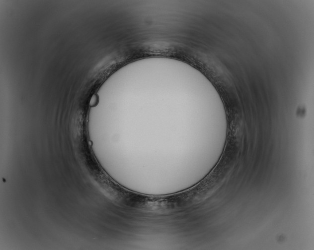 X0000102000744200808081700