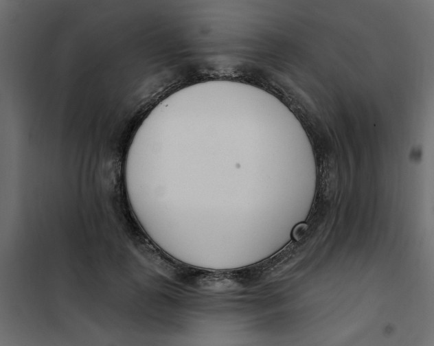 X0000102000747200808081700