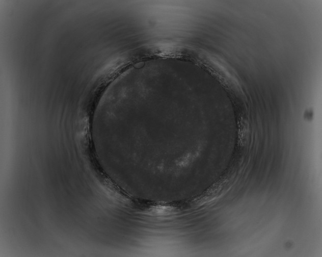 X0000102000748200808081700