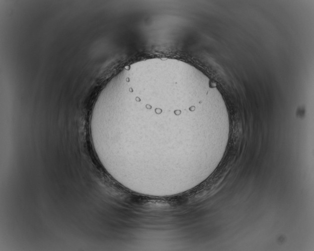 X0000102000749200808081700